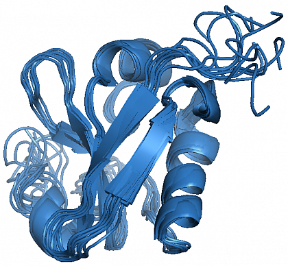 NMR structure of PsIAA4 (ensemble of the 9 lowest energy structures).